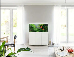 5 Motivi per Scegliere JUWEL Vision 260