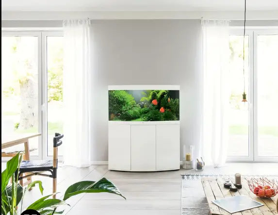 5 Motivi per Scegliere JUWEL Vision 260