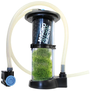 Macro Algae Reactor – Una Rivoluzione nel Biorisanamento per Acquari d'Acqua Dolce e Marini