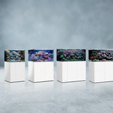 Acquario Marino Armatus XD Aqua Medic - Completo con Mobile Alluminio e Sump