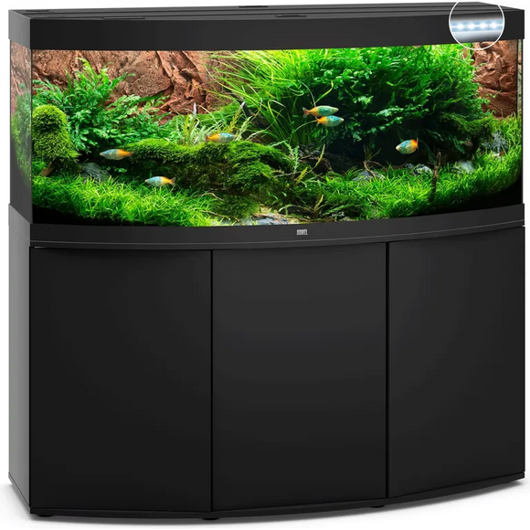 Acquario completo accessoriato JUWEL Vision 450 LED con piante verdi e pesci colorati