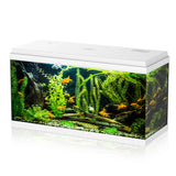 AQPET SIMPLY LED 100 - Acquario Completo 100 Litri con Filtro e Riscaldatore