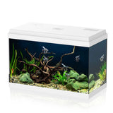 AQPET Simply LED 60 - Acquario 60 Litri Completo con Filtro BIO BOX