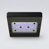 Radion XR15 G6 Blue