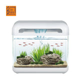 Acquario Derby 15 Litri Completo in Vetro Curvato con LED e Filtro