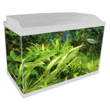 BLU BIOS Genius 40 Nero - Acquario Completo 40 Litri con LED e Filtro