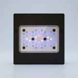 Radion XR15 G6 Blue
