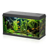 AQ PET SIMPLY LED 100 - Acquario accessoriato 80x30x46 cm
