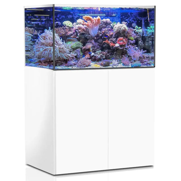 AQUAMEDIC Armatus 375 XD Bianco - Acquario marino con mobile