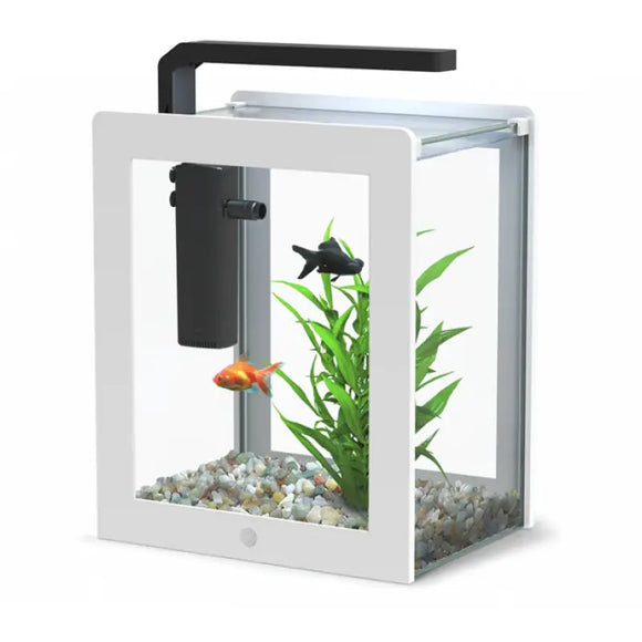 Acquario AQUATLANTIS AquaFrame 25 bianco con filtro interno Cleansys e piante