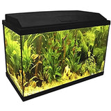 BLU BIOS Genius 40 - Acquario accessoriato nero - ACQUARI