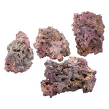 CARIBSEA Shelf Rock 18 kg - Rocce per acquario marino