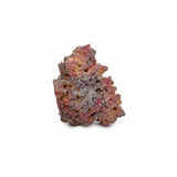 CARIBSEA Shelf Rock 18 kg - Rocce per acquario marino