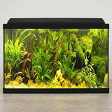 BLU BIOS Genius 40 - Acquario Completo 40 Litri con LED e Filtro