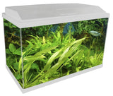 Acquario Accessoriato 60 Litri BLU BIOS Genius 60 - Kit Completo