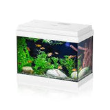 AQPET SIMPLY LED 30 - Acquario 30 Litri Completo con Filtro e Illuminazione LED