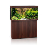 Acquario JUWEL Rio 450 LED completo accessoriato con piante acquatiche e roccia decorativa