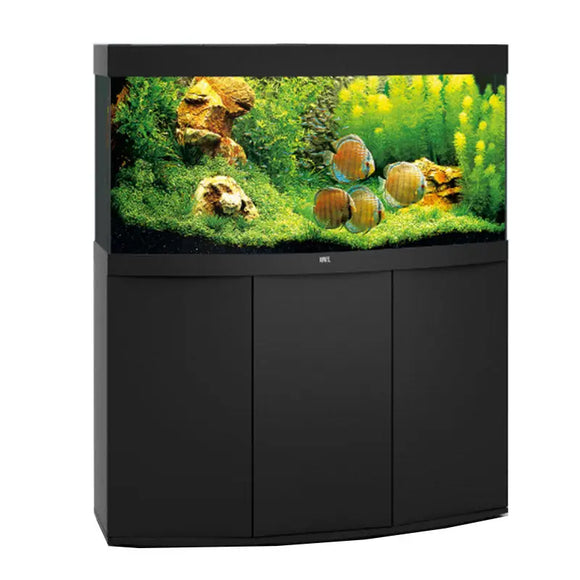 Acquario completo accessoriato JUWEL Vision 260 LED con pesci tropicali e piante verdi