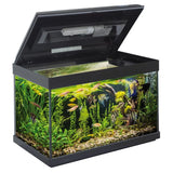 Acquario Birby 50  - Vasca Completa da 48 Litri con Filtro e Luce