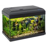Acquario Birby 50  - Vasca Completa da 48 Litri con Filtro e Luce