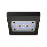 Radion XR15 G6 Pro