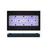 Radion XR30 G6 Blue
