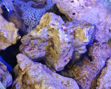 Rocce Vive Tropicali Selvatiche Spurgate per Acquario Marino