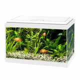 MTB Acquari Aloha 60 LED - Acquario Accessoriato 57 Litri