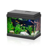 AQPET SIMPLY LED 30 - Acquario 30 Litri Completo con Filtro e Illuminazione LED