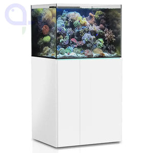 AQUAMEDIC Armatus 300 XD Bianco - Acquario marino con mobile