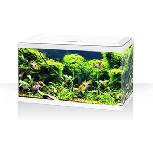 ASKOLL Aqua 60 Bianco - Acquario accessoriato da 60 cm -