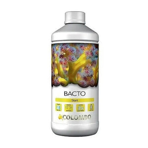 COLOMBO Bacto Start- Ceppi batterici 1000 ml - BATTERI