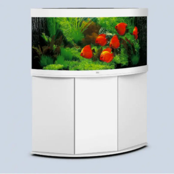 JUWEL Trigon 350 LED - Acquario accessoriato 350 litri -